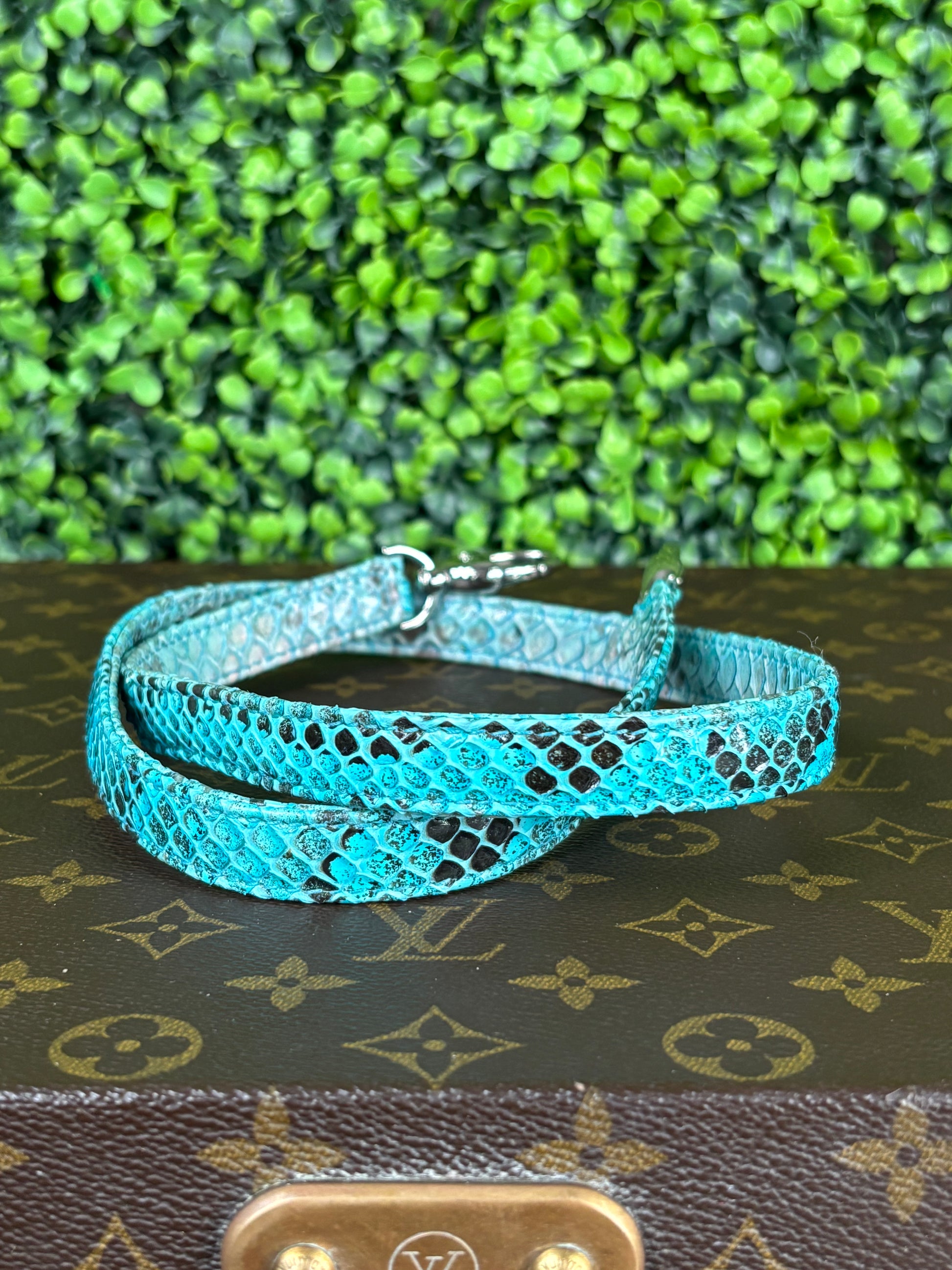Lady Dior Green Python