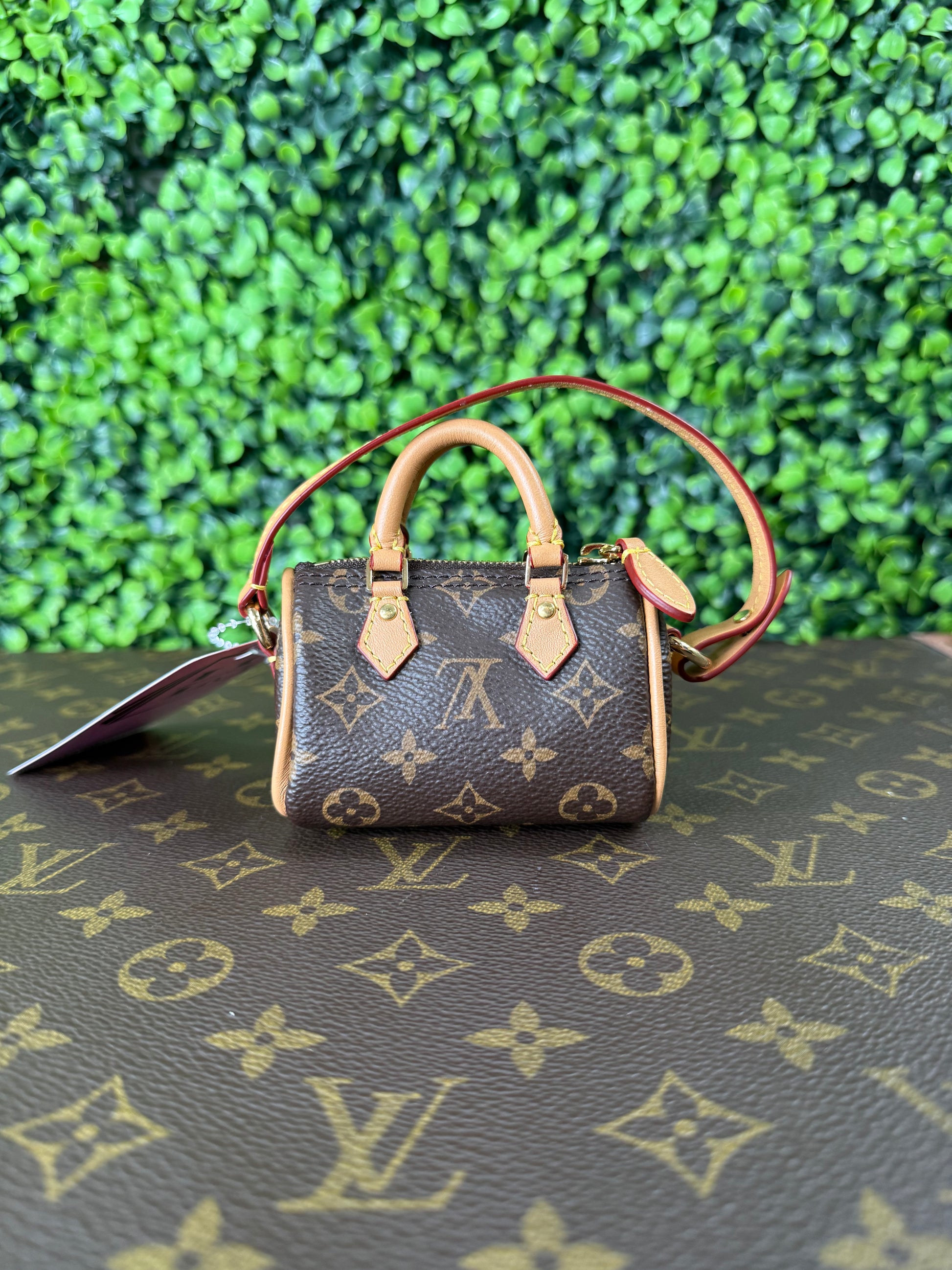 Louis Vuitton Micro Speedy