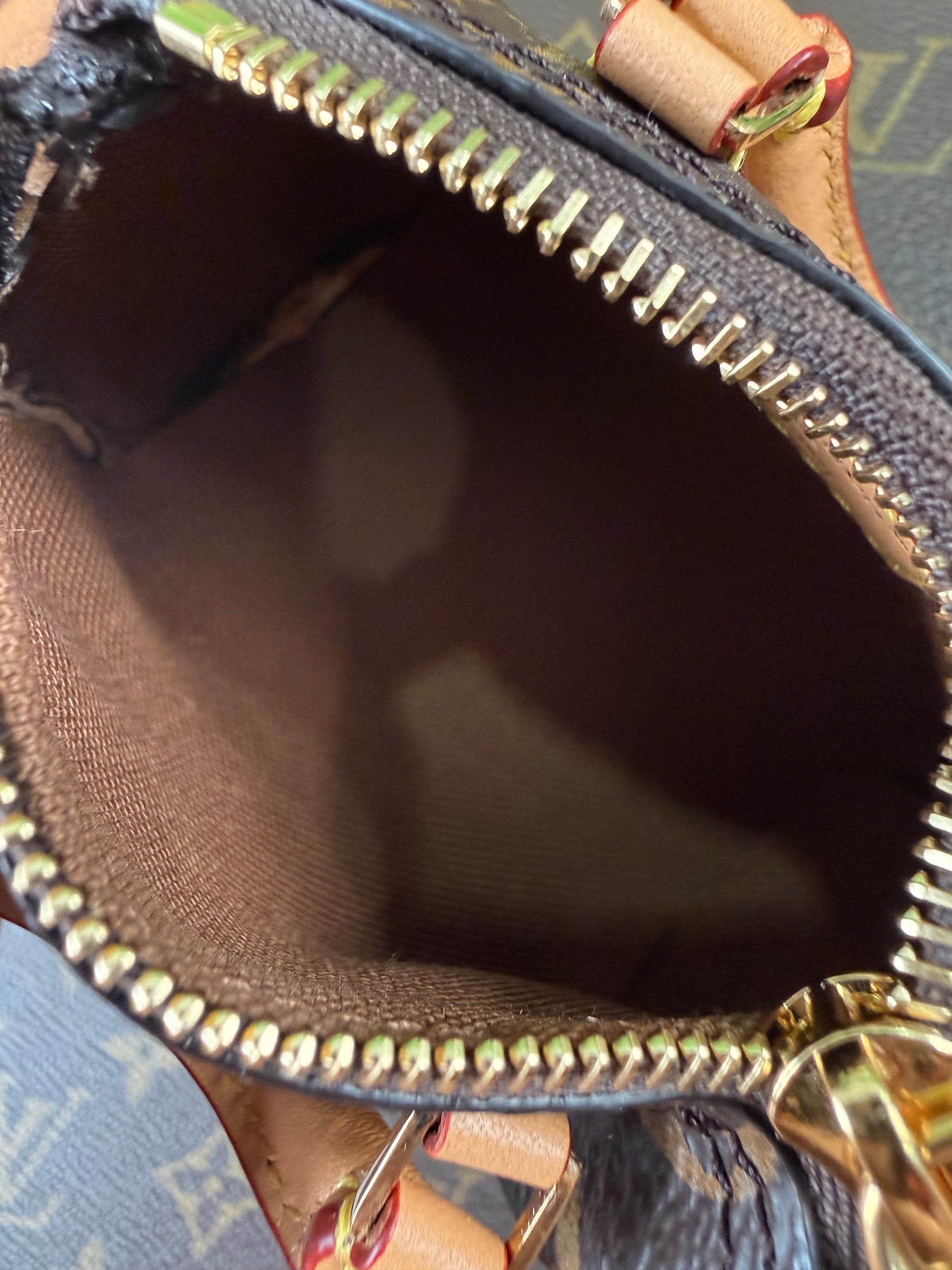 Louis Vuitton Micro Speedy