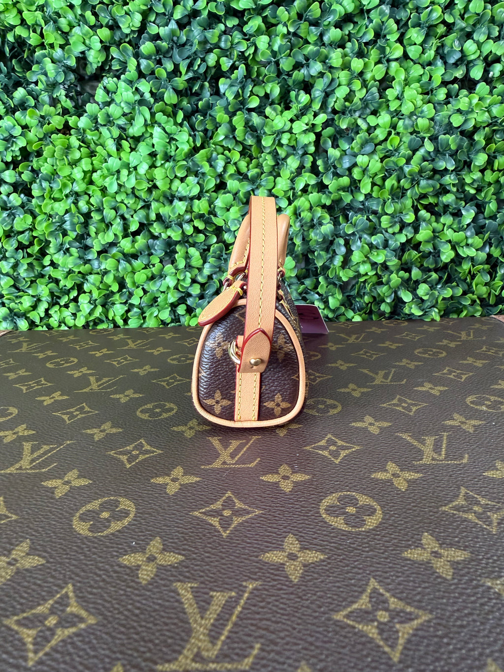 Louis Vuitton Micro Speedy