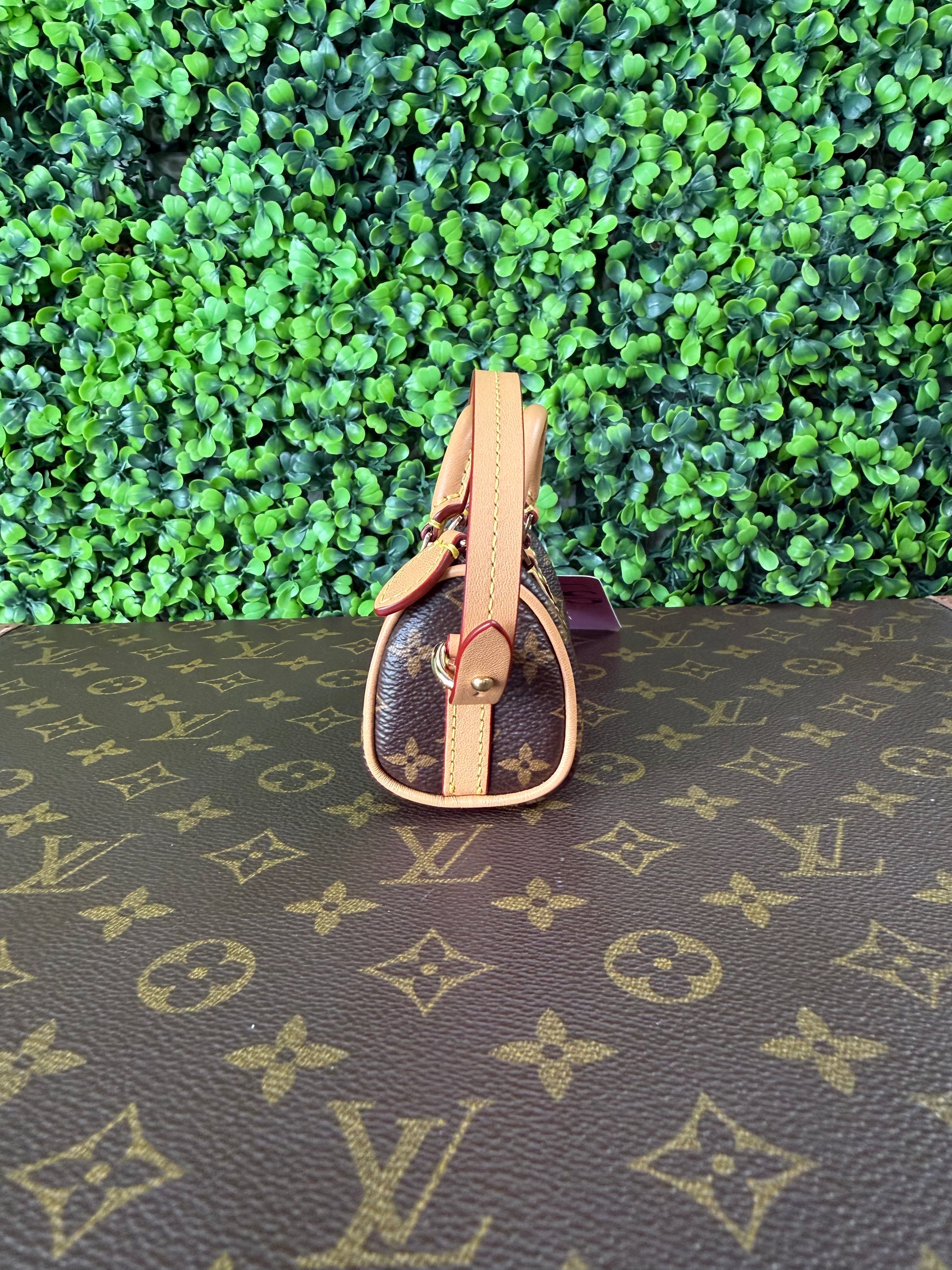 Louis Vuitton Micro Speedy