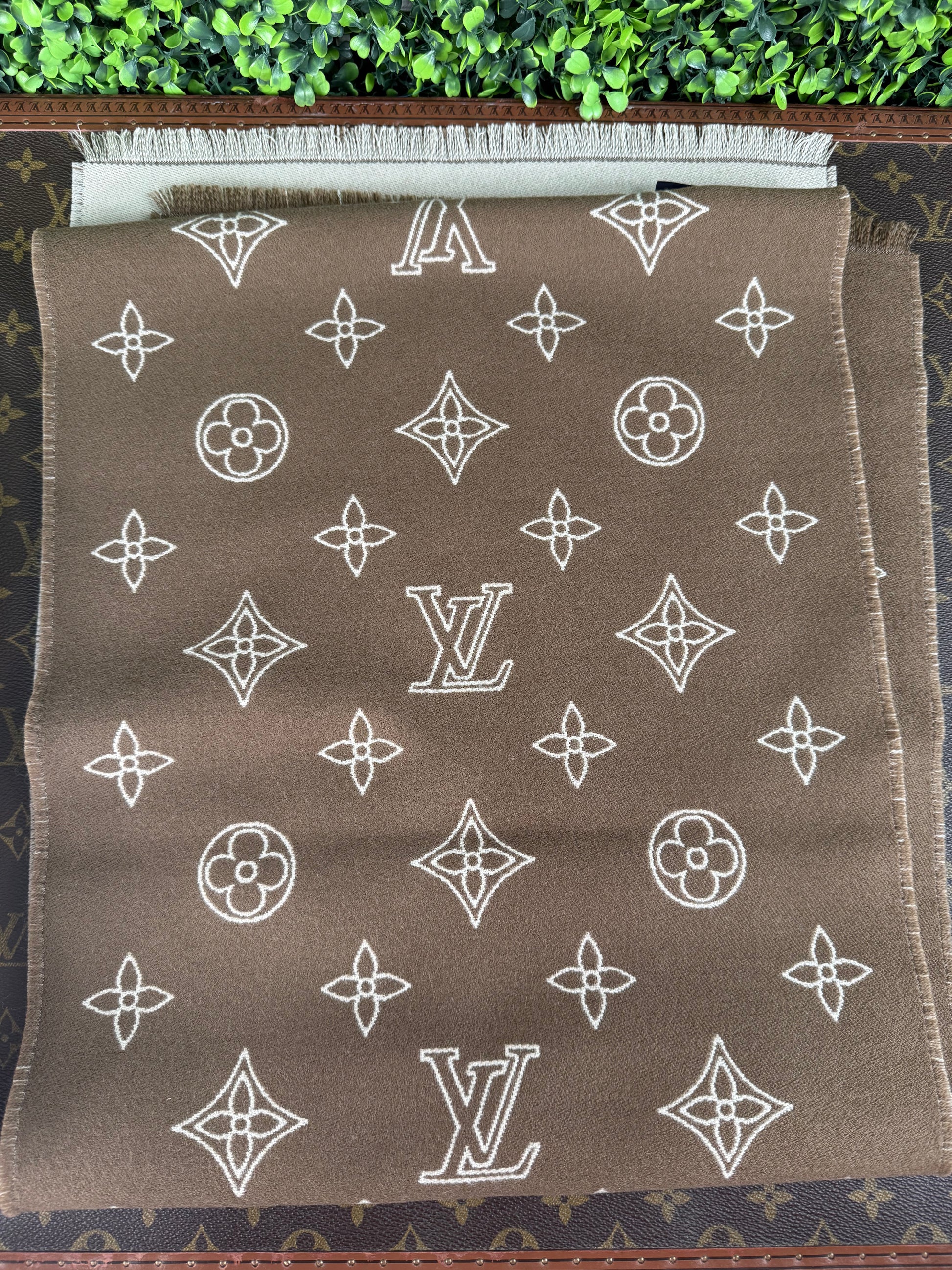 Louis Vuitton Monogram Blast Scarf