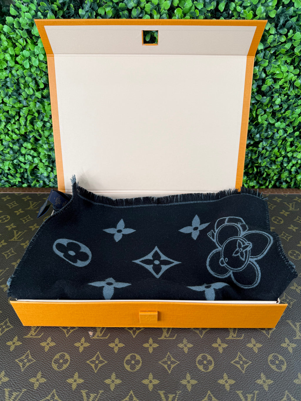 Louis Vuitton Monogram Viviene Scarf