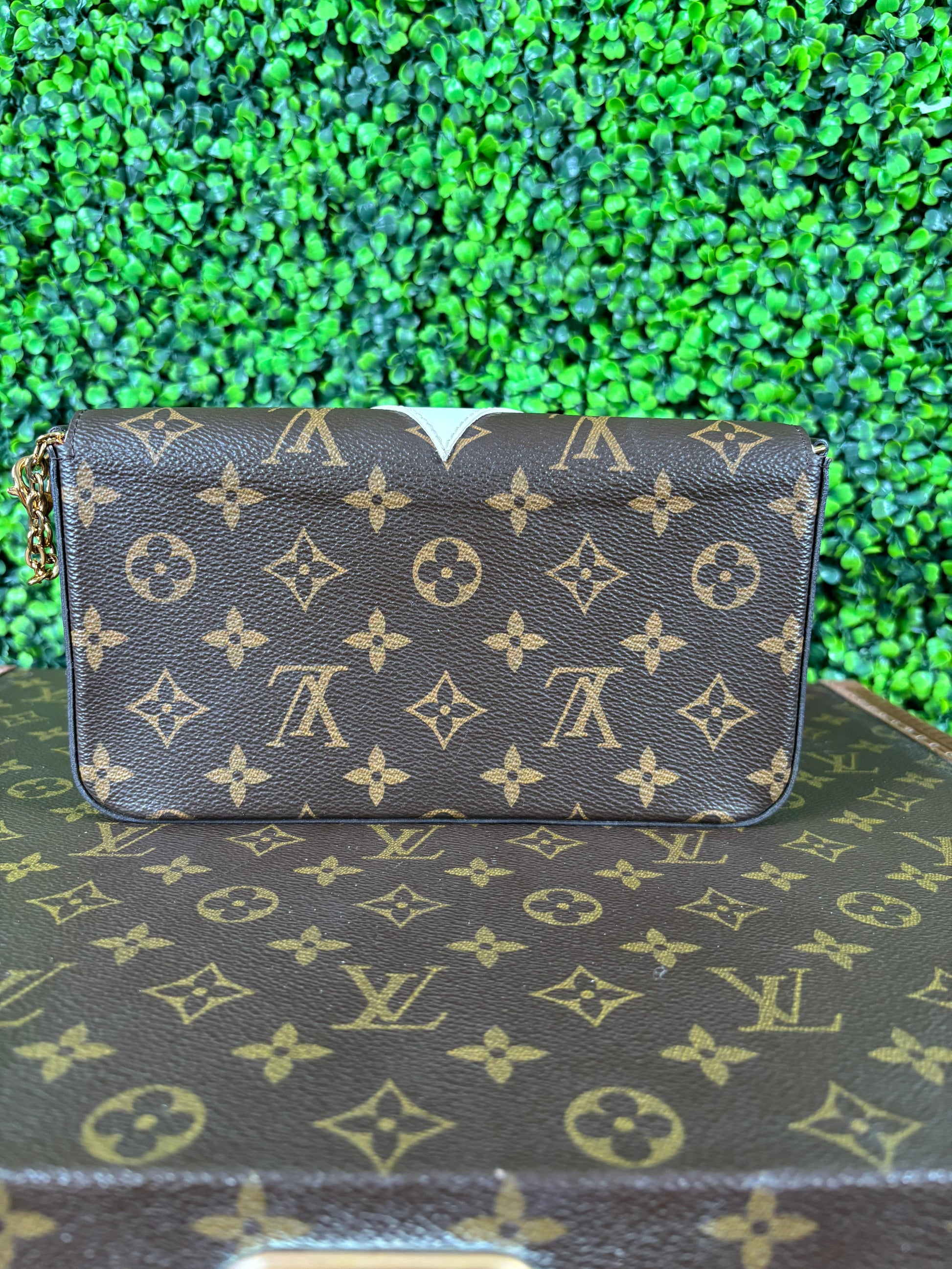 Louis Vuitton Pochette Felicie Owl Monogram