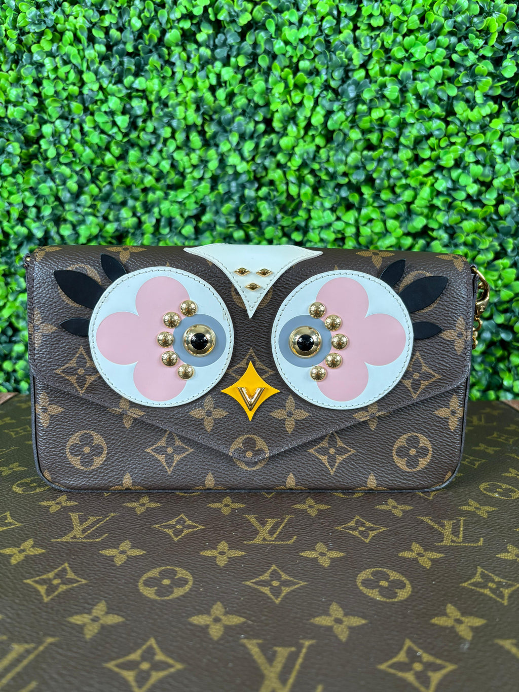 Louis Vuitton Pochette Felicie Owl Monogram