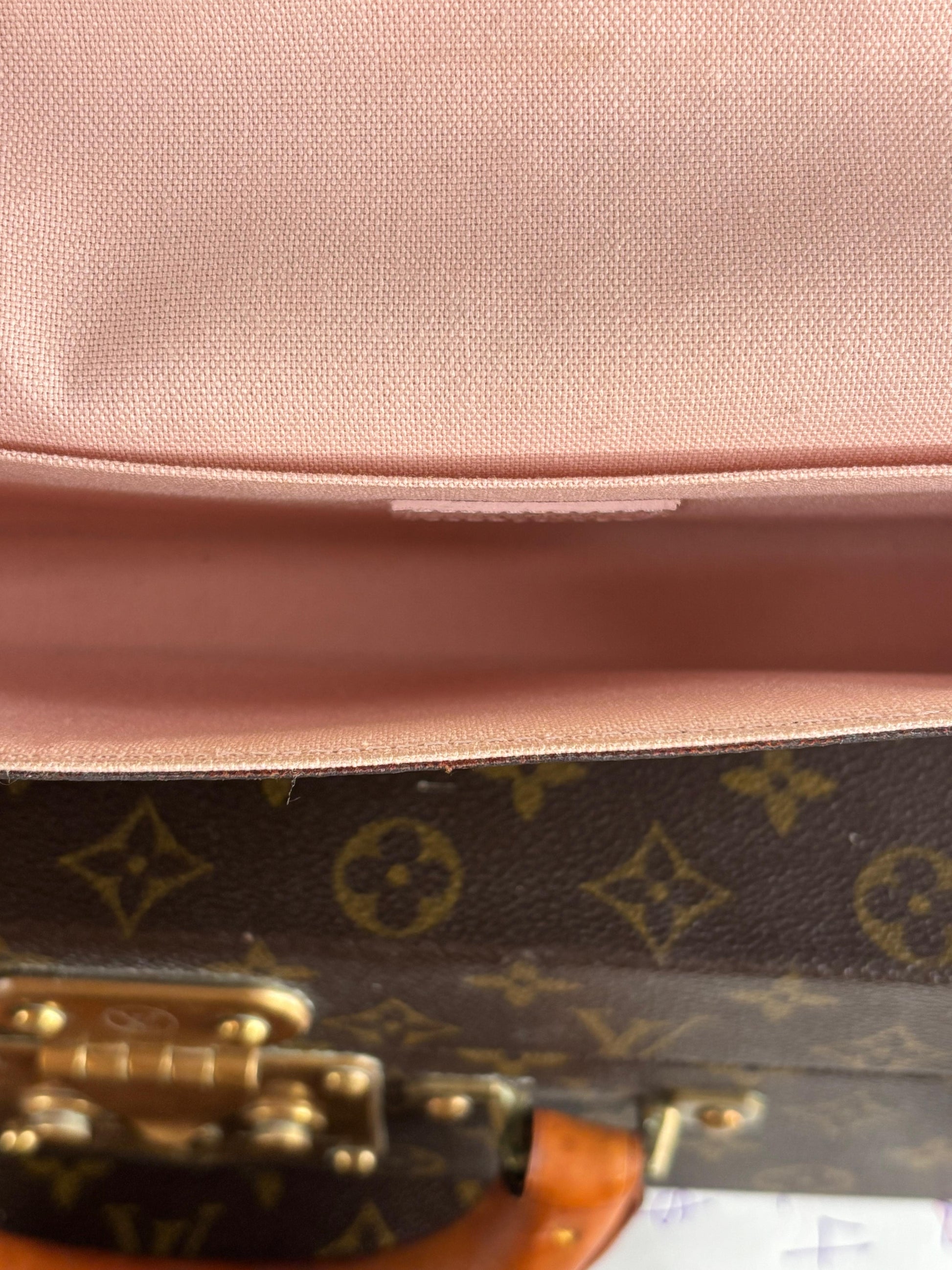 Louis Vuitton Pochette Felicie Owl Monogram
