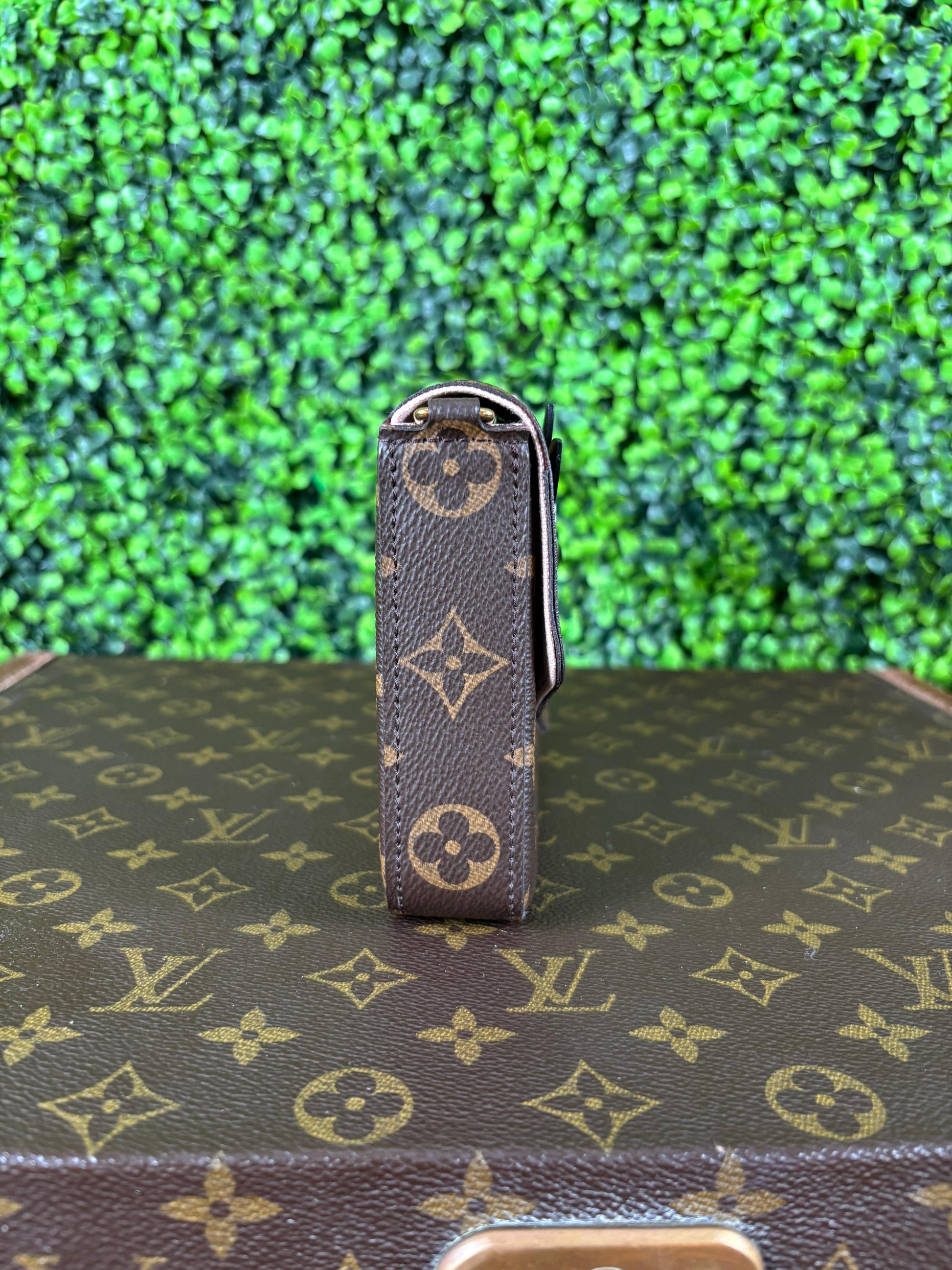 Louis Vuitton Pochette Felicie Owl Monogram