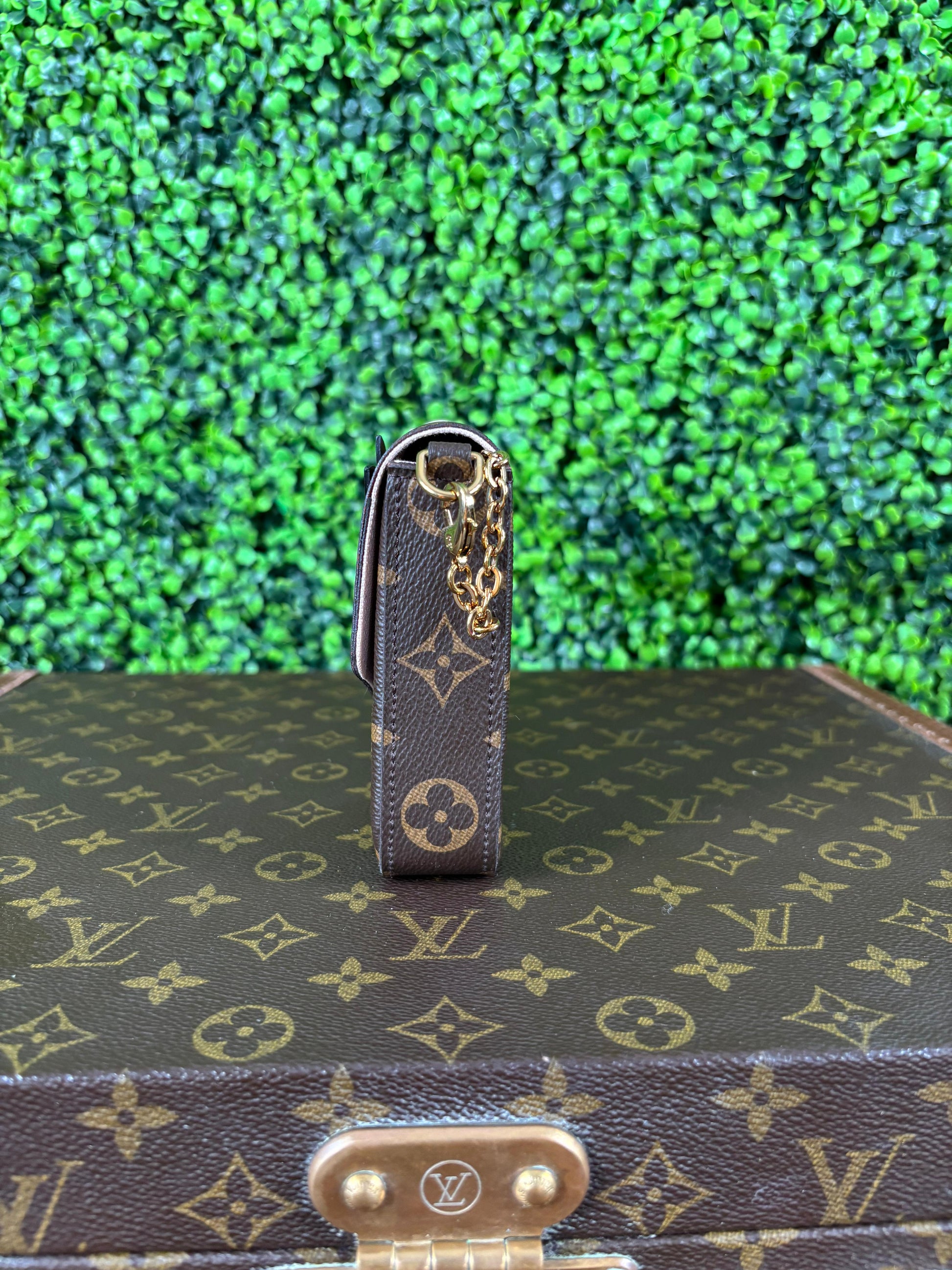 Louis Vuitton Pochette Felicie Owl Monogram