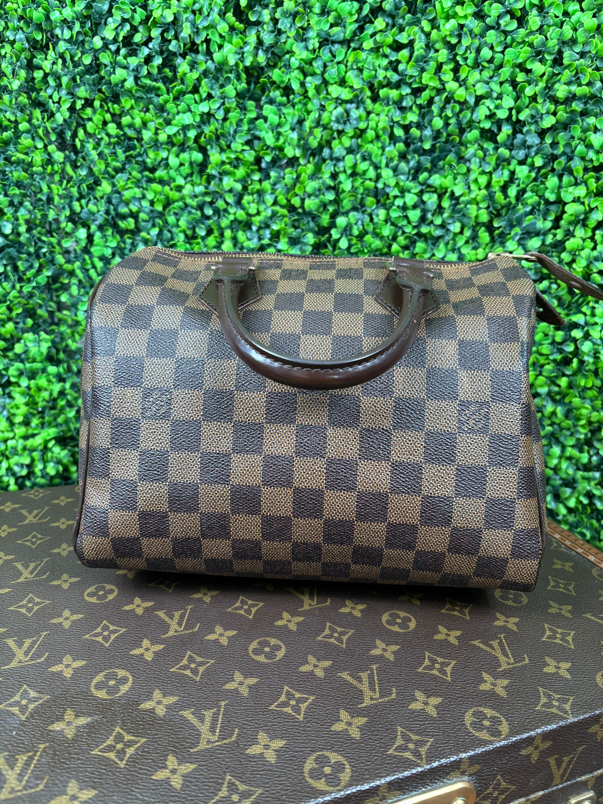 Louis Vuitton Speedy 25 Damier Ebene