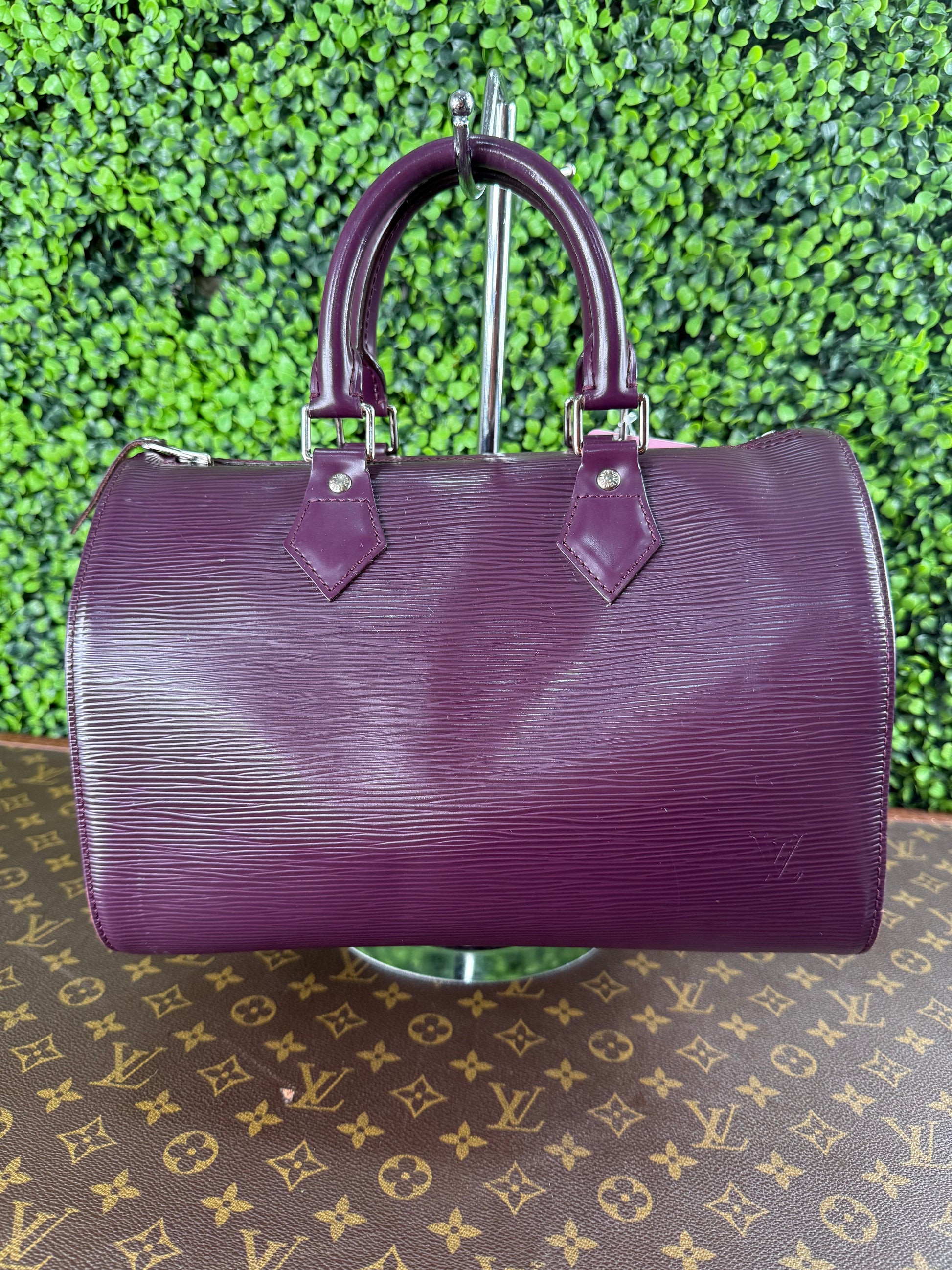 Louis Vuitton Speedy 25 Epi Purple