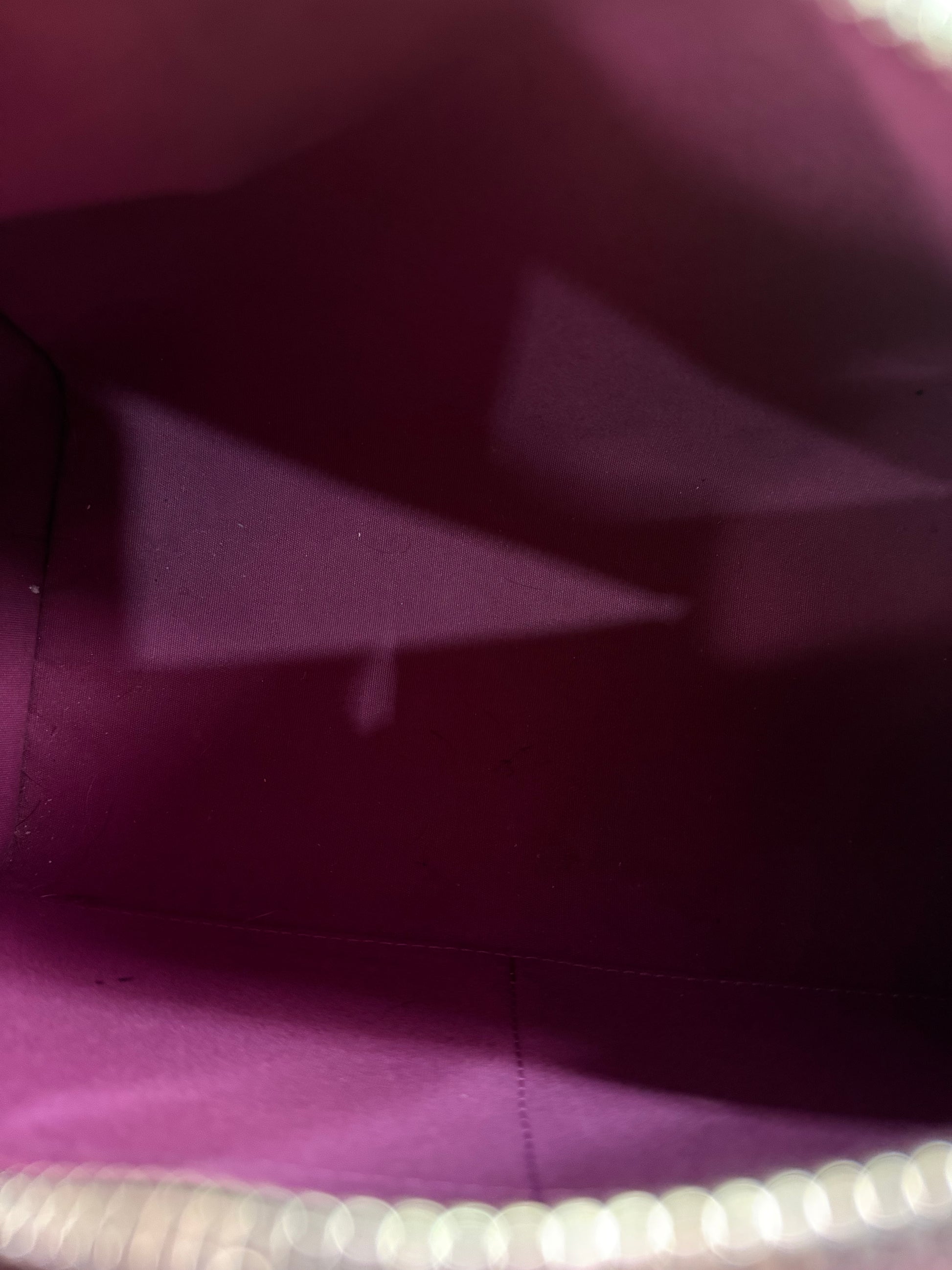 Louis Vuitton Speedy 25 Epi Purple