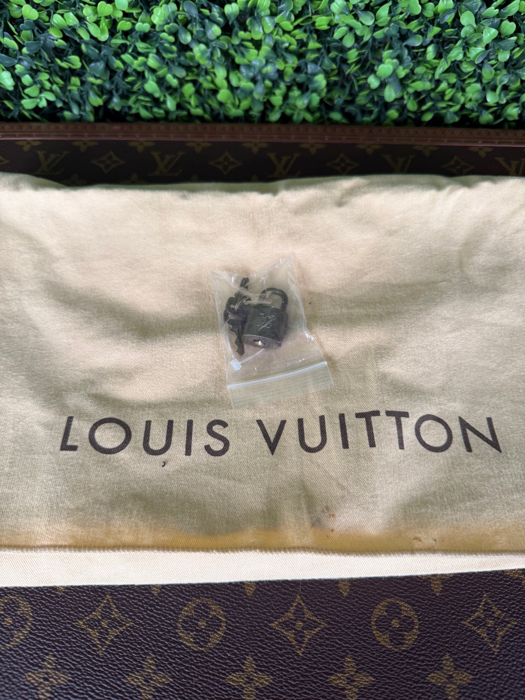 Louis Vuitton Speedy 25 Monogram