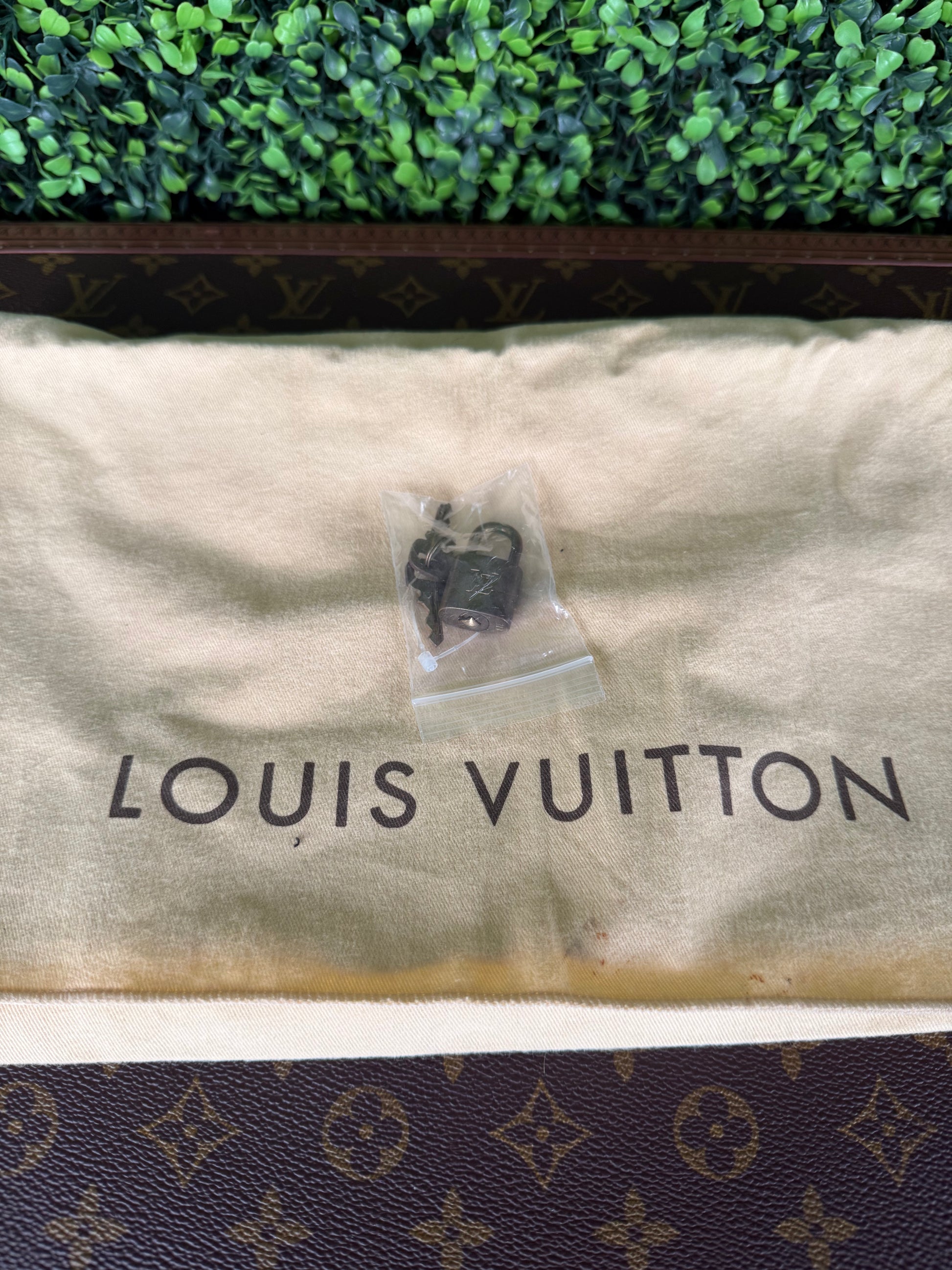 Louis Vuitton Speedy 25 Monogram