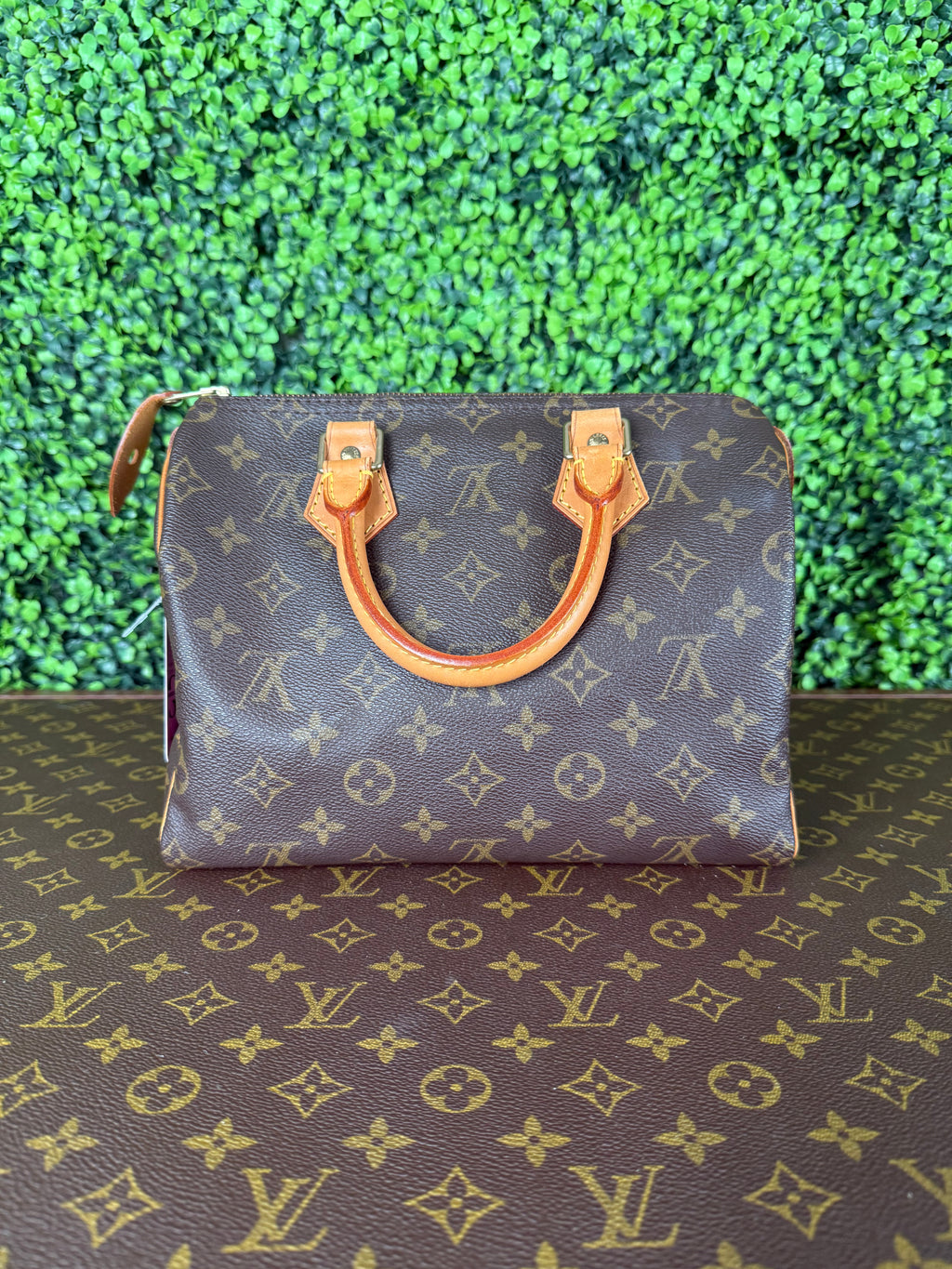 Louis Vuitton Speedy 25 Monogram