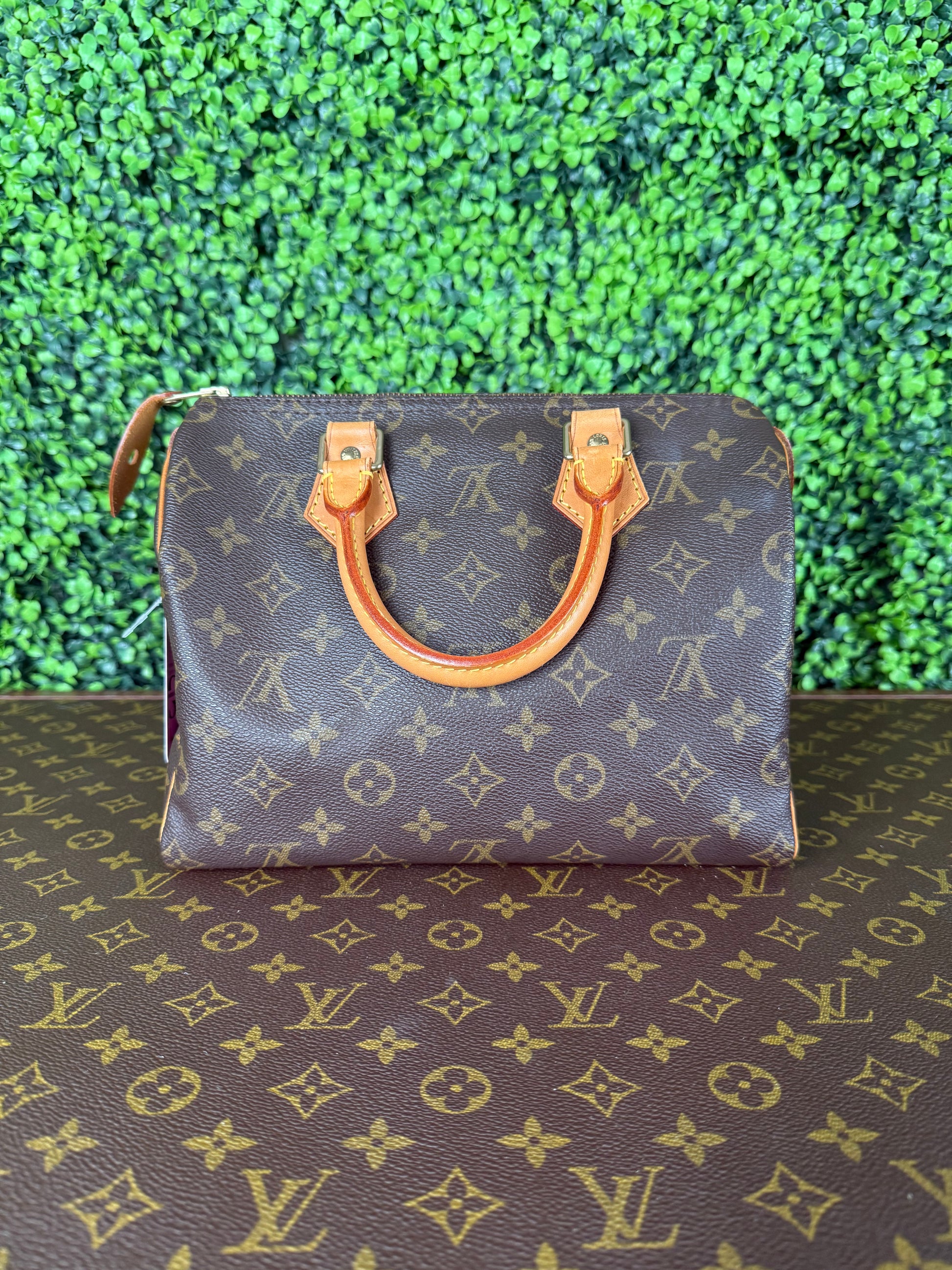 Louis Vuitton Speedy 25 Monogram