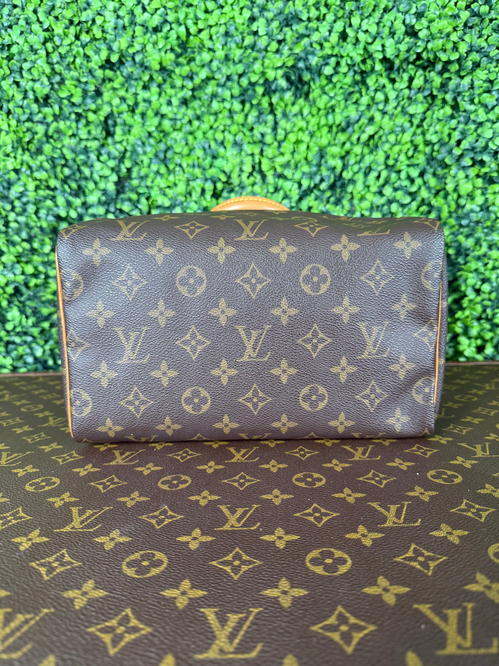 Louis Vuitton Speedy 25 Monogram