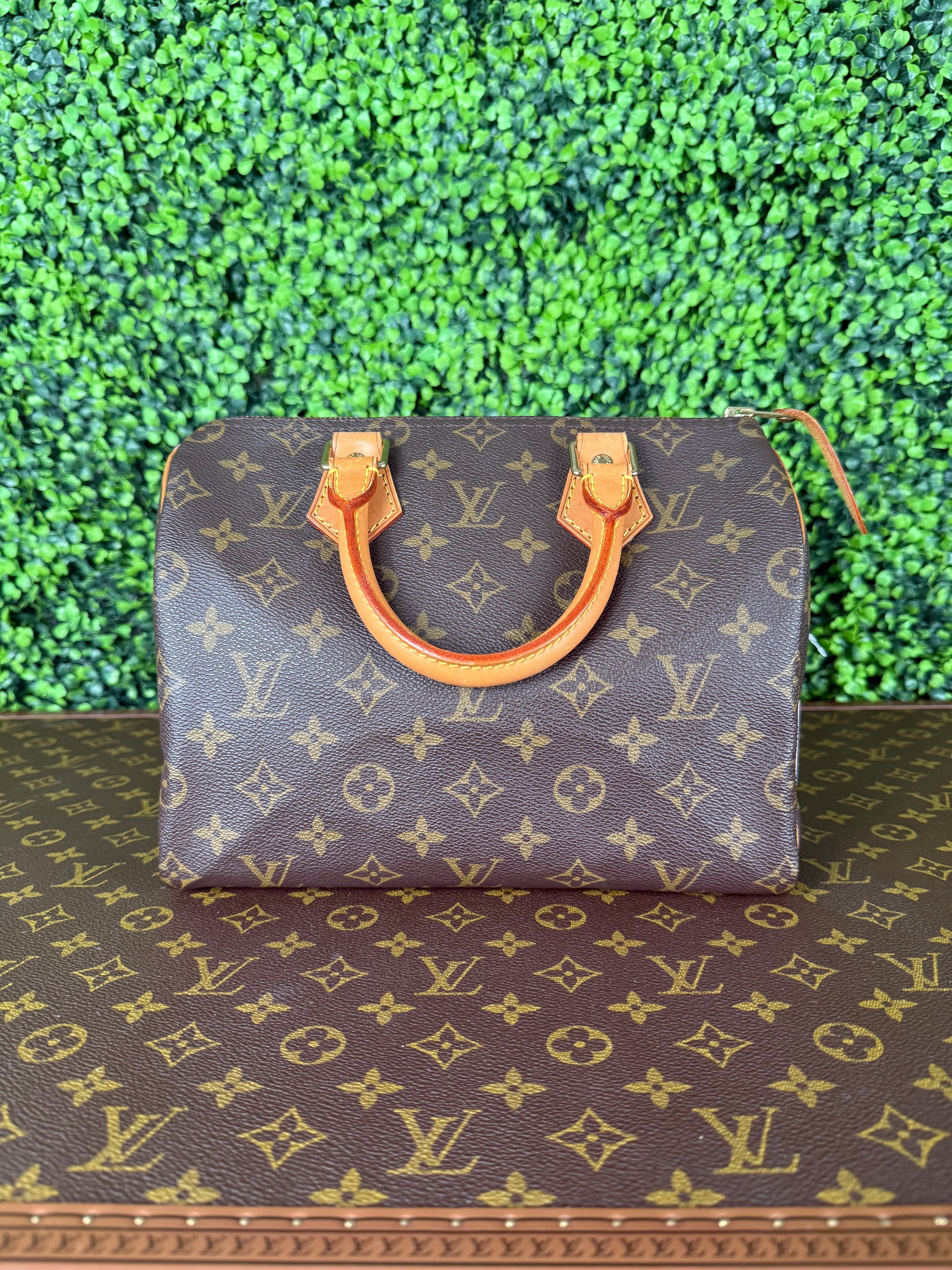 Louis Vuitton Speedy 25 Monogram