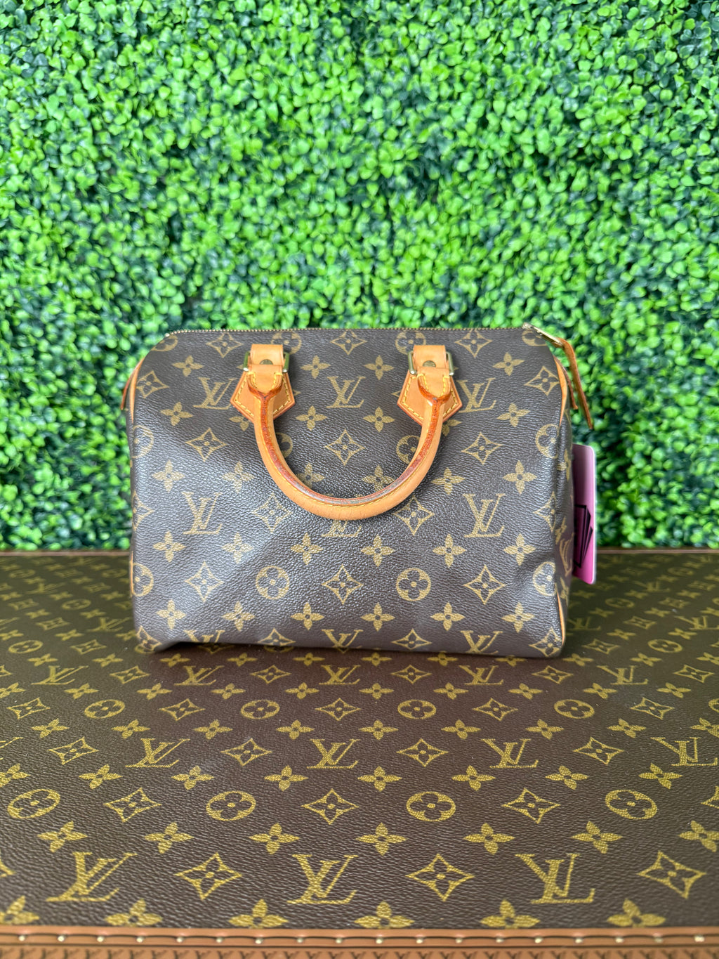 Louis Vuitton Speedy 25 Monogram
