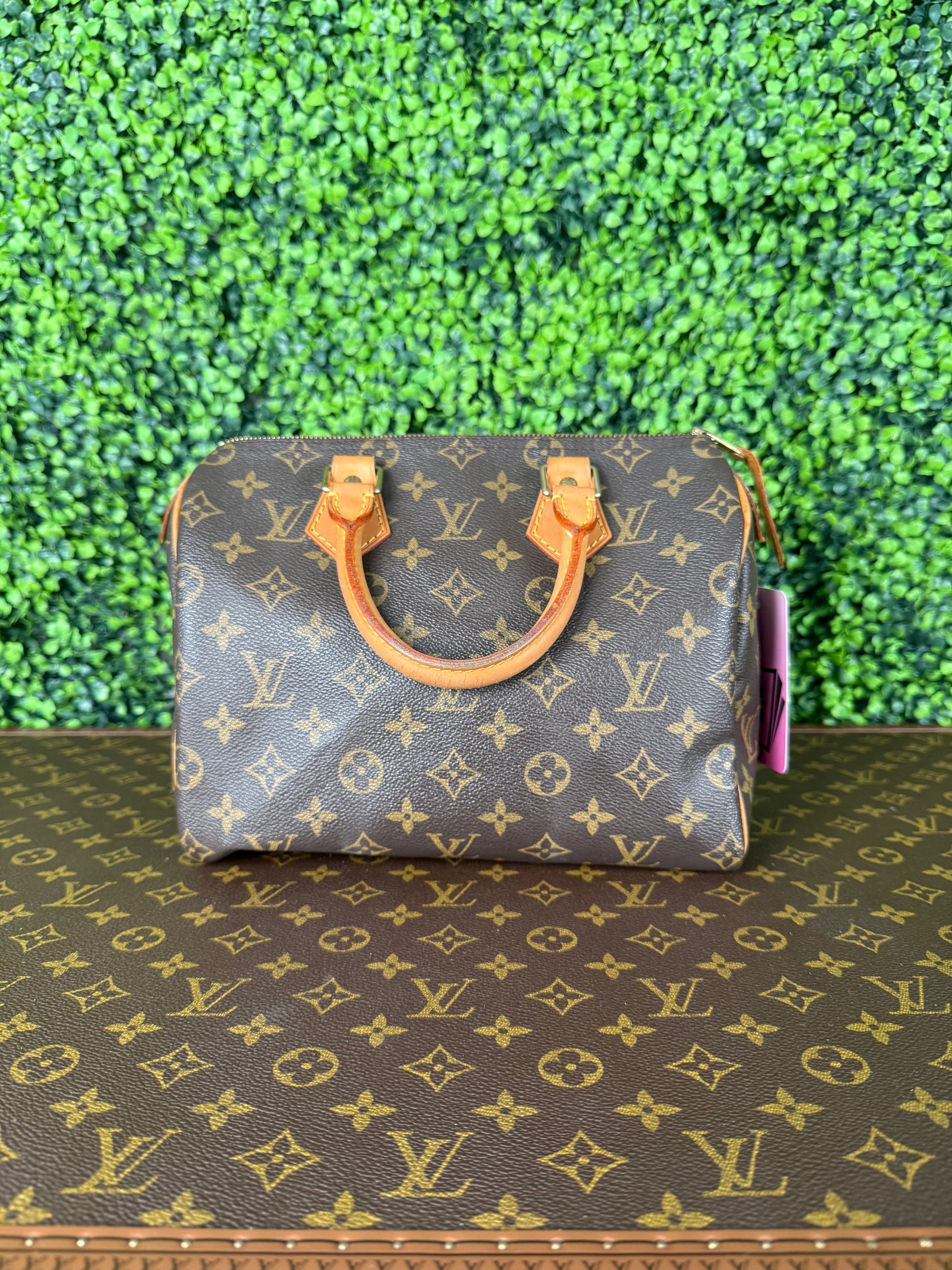 Louis Vuitton Speedy 25 Monogram