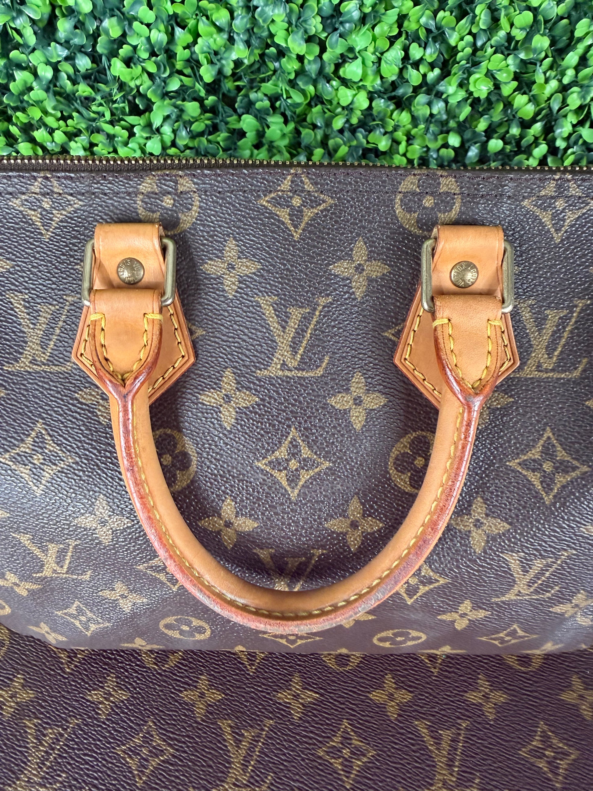 Louis Vuitton Speedy 25 Monogram
