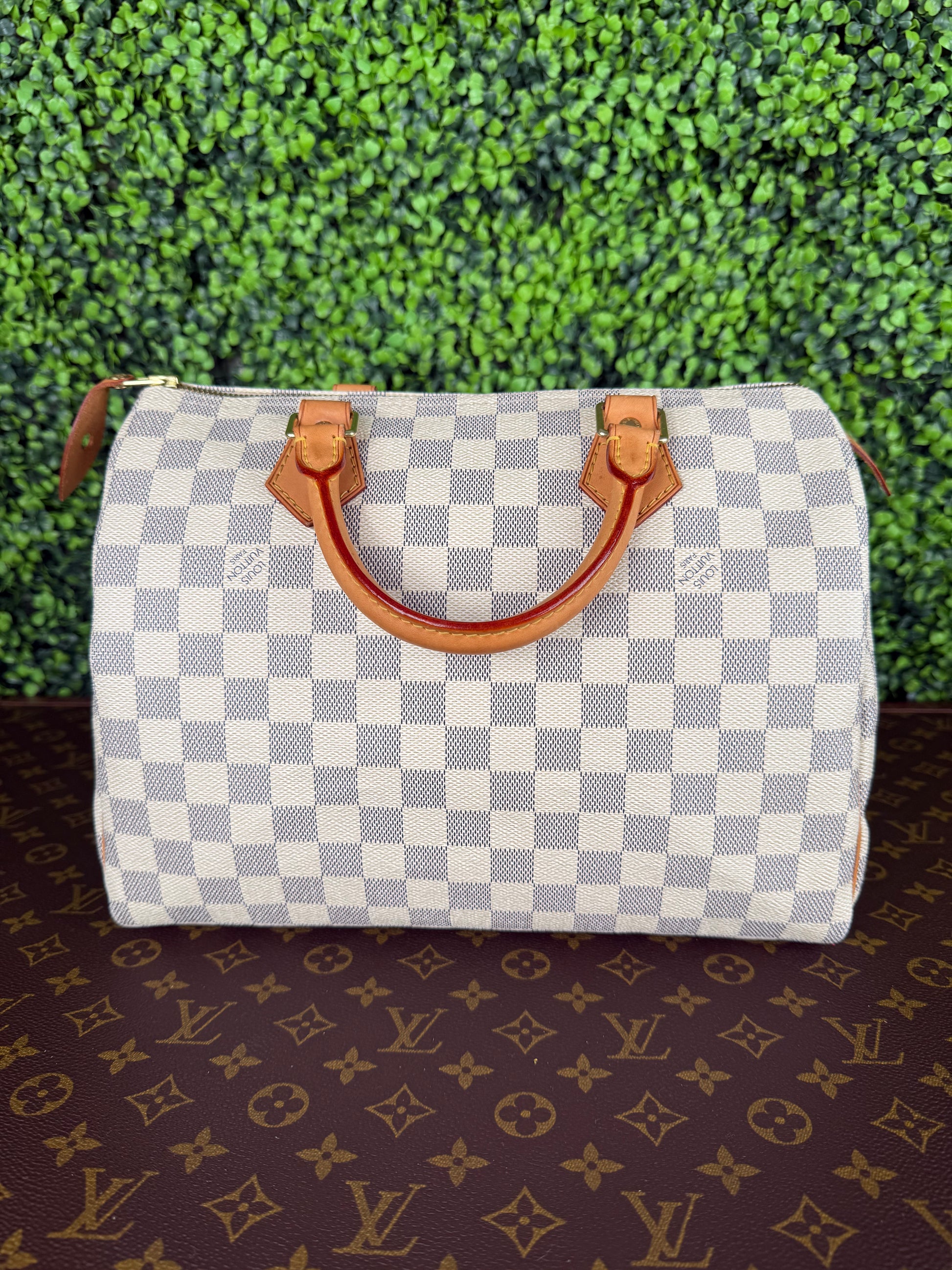 Louis Vuitton Speedy 30 Azur