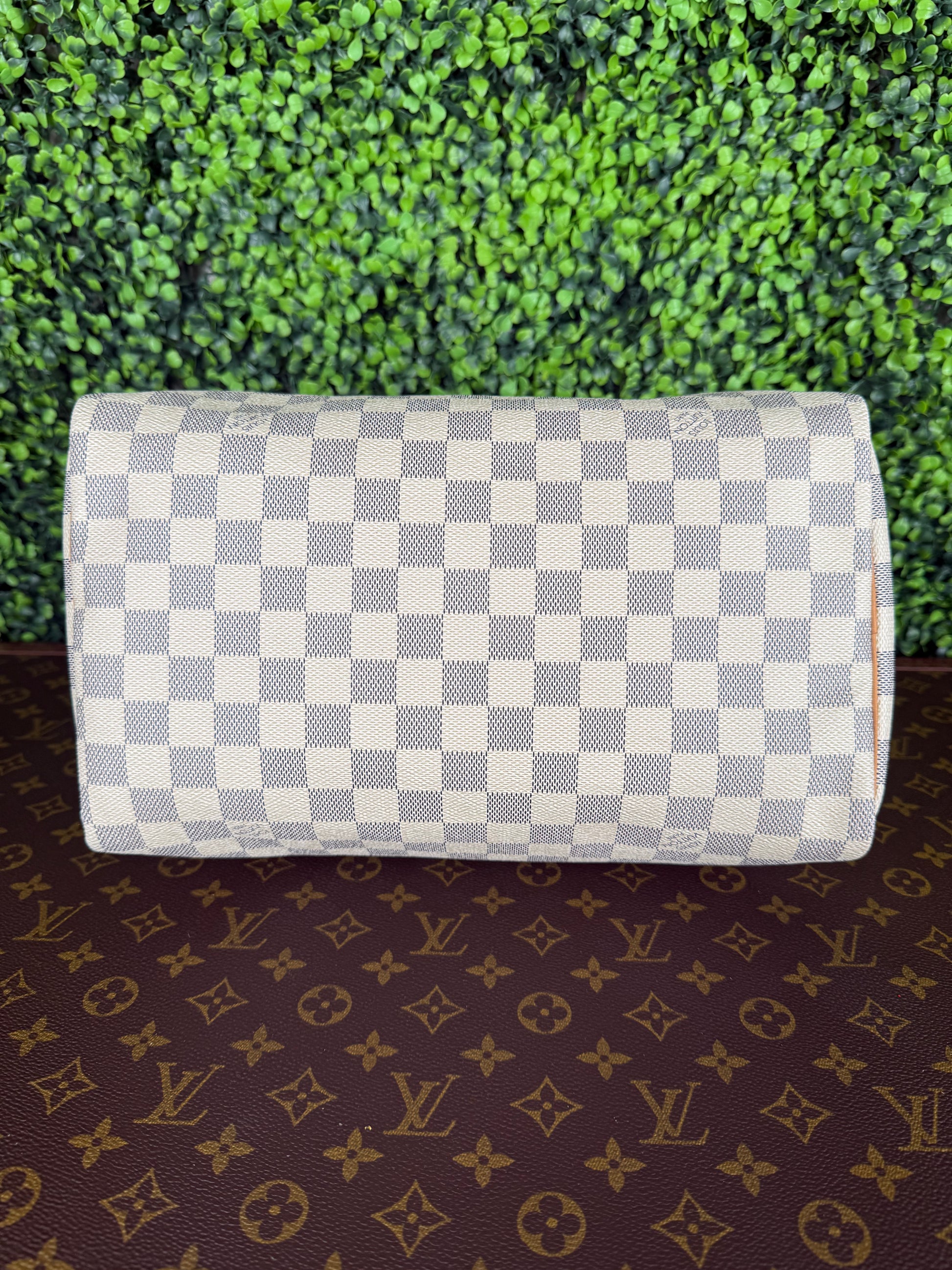 Louis Vuitton Speedy 30 Azur
