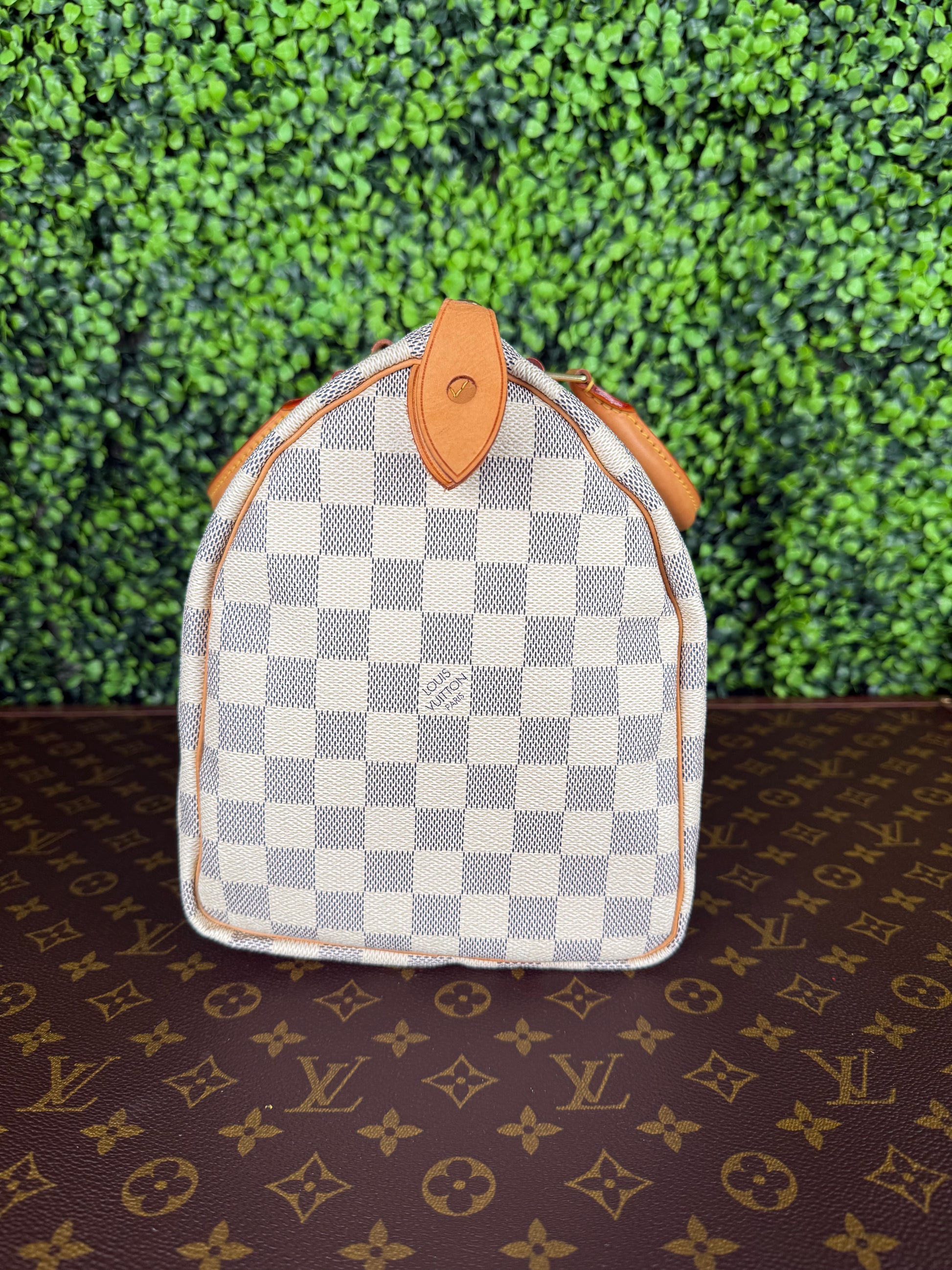 Louis Vuitton Speedy 30 Azur