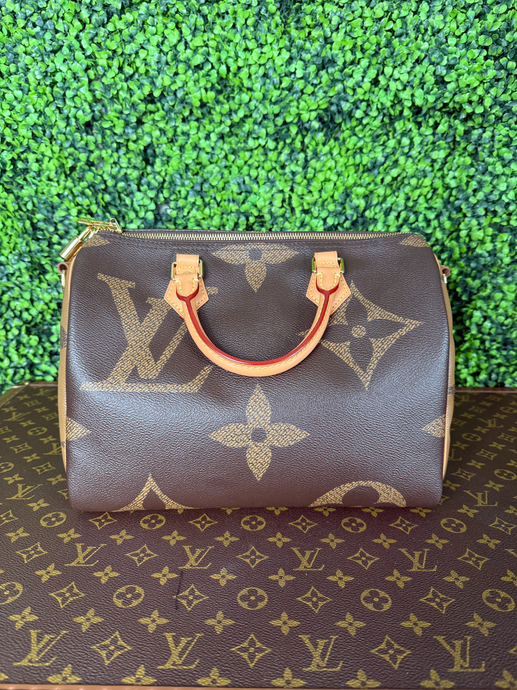 Louis Vuitton Speedy 30 Giant Tote Reverse