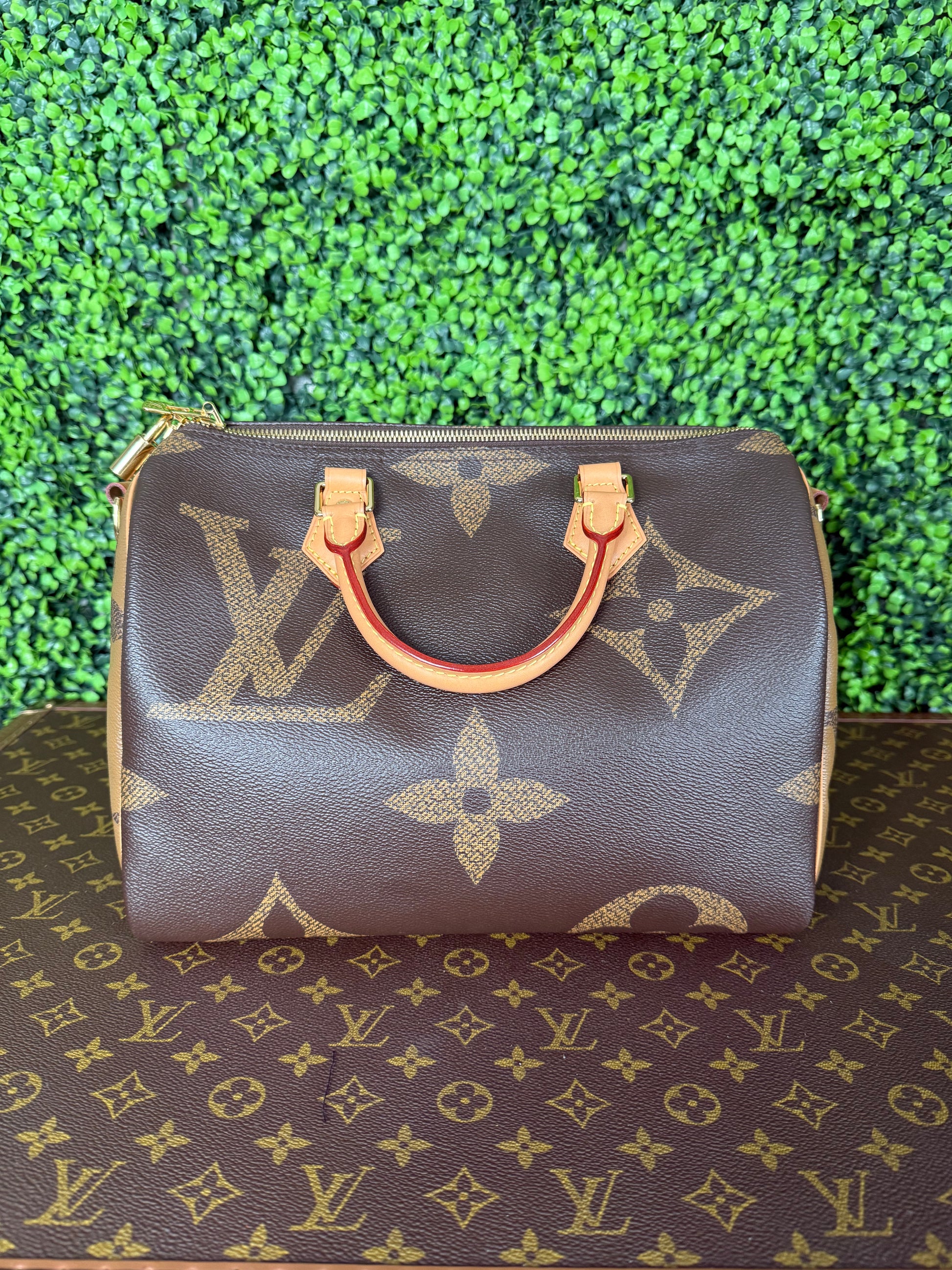 Louis Vuitton Speedy 30 Giant Tote Reverse