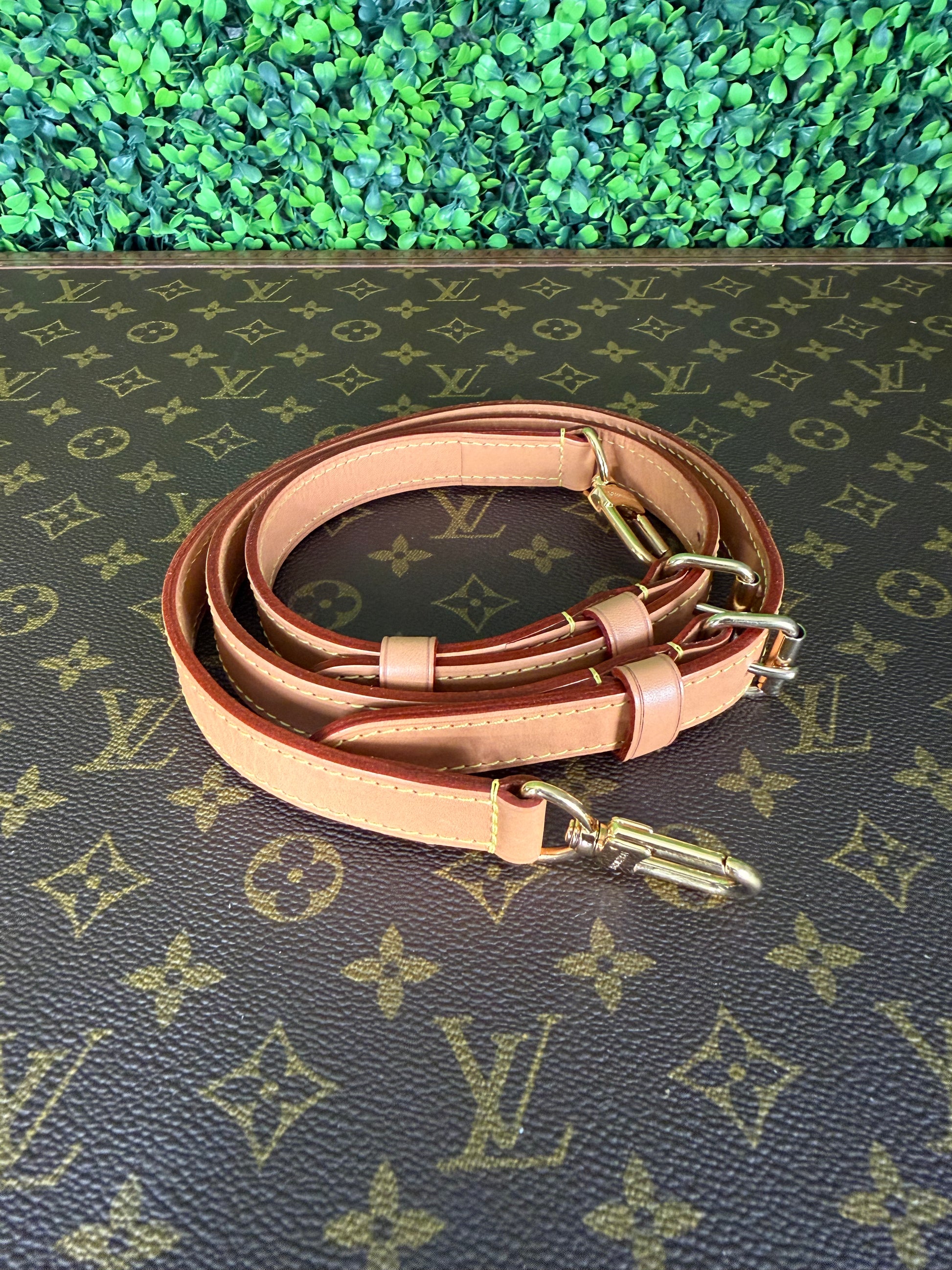 Louis Vuitton Speedy 30 Giant Tote Reverse